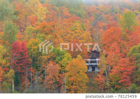 Canada_Laurentian Mountains 秋色 Canada_Laurentian Mountains 秋色 78125459