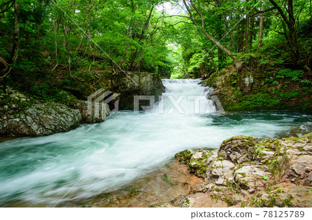 美麗的清流和船之瀑布 新鮮的綠色秋田縣 78125789