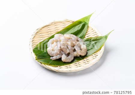 一個盾牌 78125795