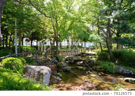 新綠,千葉縣船橋市,行田公園,日本庭園 新綠,千葉縣船橋市,行田公園,日本庭園 78126573