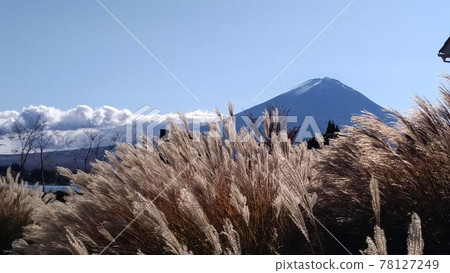 Susuki and Mt. Fuji 78127249