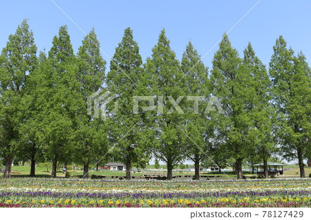 Akebonosan Agricultural Park 78127429