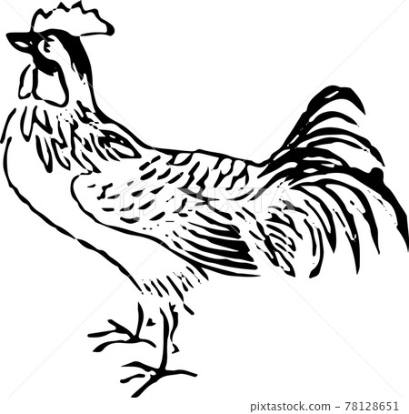Heta-uma Mysterious Bird: Chicken 78128651