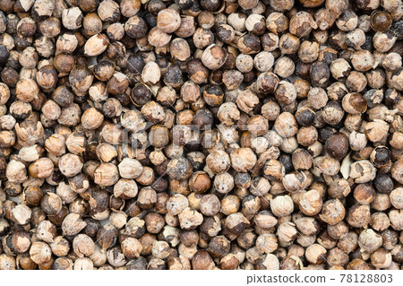 background - monk's pepper (vitex) close up 78128803