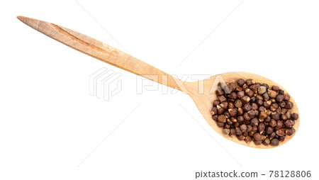top view of grains of paradise pepper in spoon 78128806