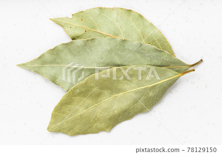 natural dried Bay Laurel leaves close up on gray natural dried Bay Laurel leaves close up on gray 78129150