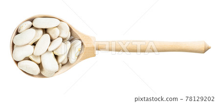 top view of wood spoon with lima beans isolated top view of wood spoon with lima beans isolated 78129202