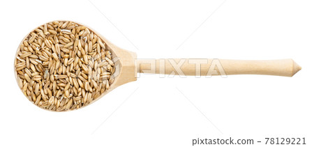 top view of wood spoon with unpolished oat grains top view of wood spoon with unpolished oat grains 78129221