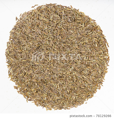 kala zeera (Elwendia persica) seeds on gray plate 78129266