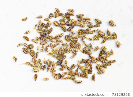 several Ajwain seeds close up on gray 78129268