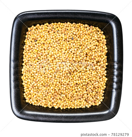 yellow seeds of brassica juncea mustard isolated yellow seeds of brassica juncea mustard isolated 78129279