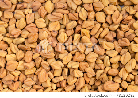 background - many whole fenugreek seeds 78129282