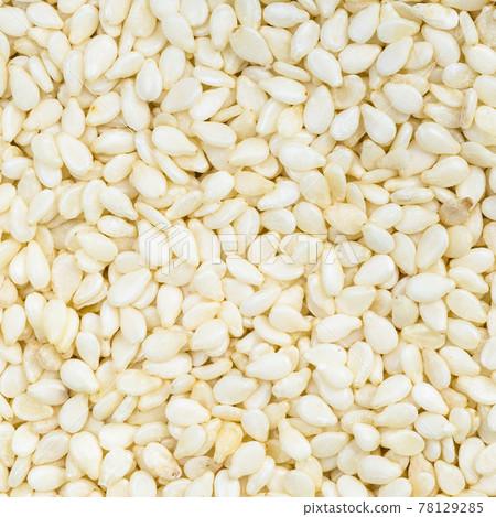 white sesame seeds close up white sesame seeds close up 78129285