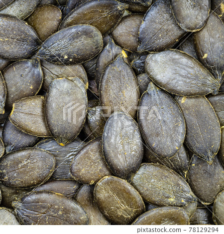 styrian pumpkin hulless seeds close up styrian pumpkin hulless seeds close up 78129294