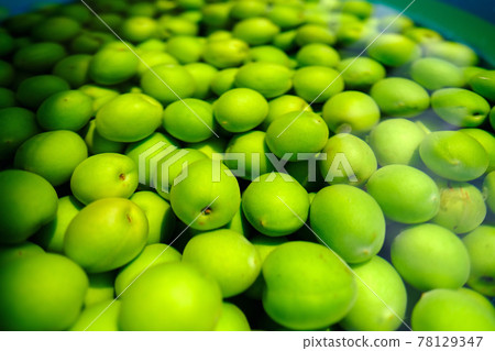 青梅 青梅 78129347