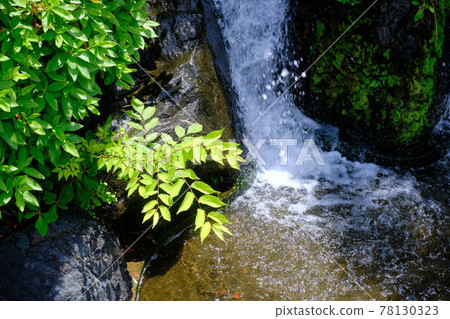 Tenjuen Waterfall Tenjuen Waterfall 78130323
