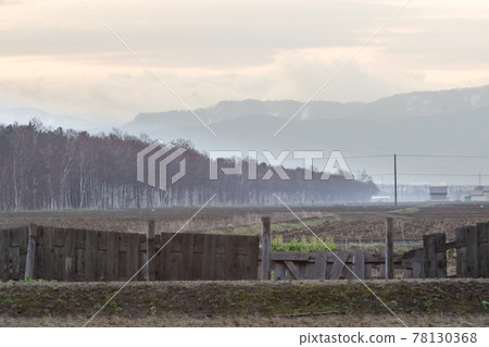 北海道月形町日出的春田 78130368