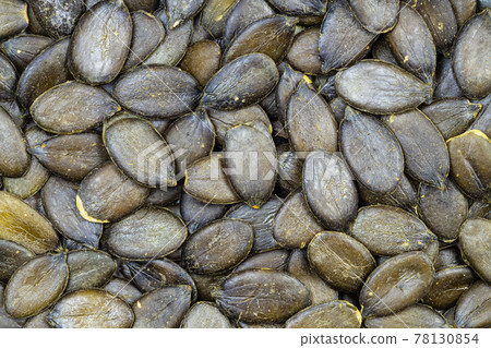 background - many styrian pumpkin hulless seeds 78130854