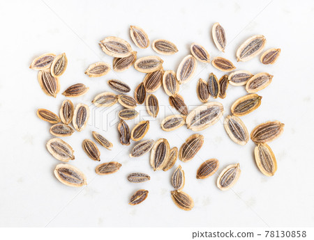 several dried dill seeds close up on gray 78130858