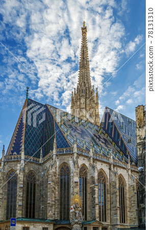 St. Stephen's Cathedral, Vienna St. Stephen's Cathedral, Vienna 78131310
