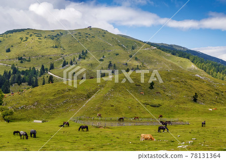 View of Dobratsch mountain, Austria View of Dobratsch mountain, Austria 78131364