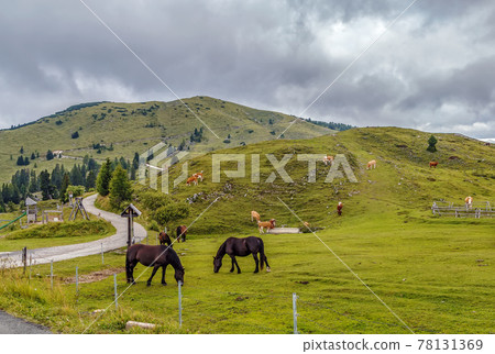 View of Dobratsch mountain, Austria View of Dobratsch mountain, Austria 78131369