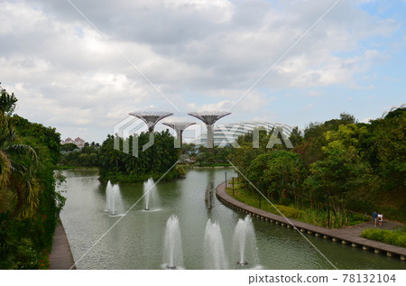 ≪Singapore≫ Gardens by the Bay 78132104