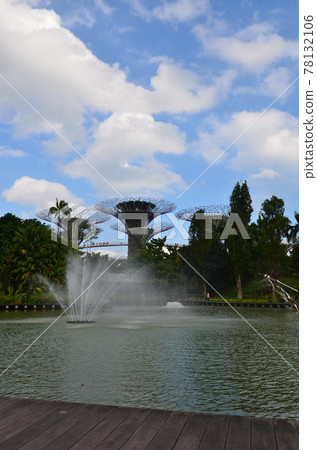 ≪新加坡≫ 濱海灣花園 78132106