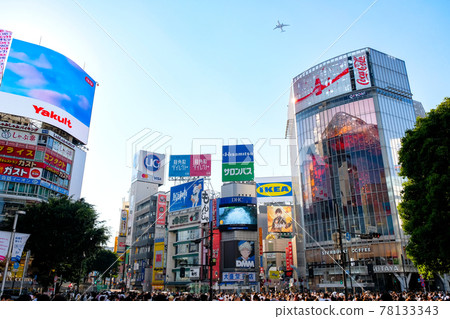Shibuya Scramble Crossing, Shibuya-ku, Tokyo 78133343