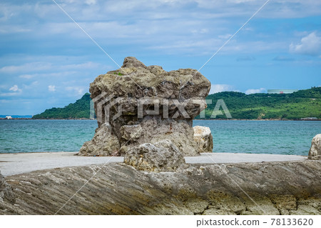 An embankment made of Ryukyu limestone that curves like an "elephant nose" near the observatory on the Kaichu Road on the main island of Okinawa 78133620
