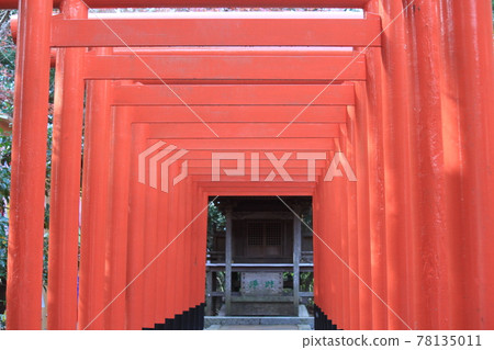 Hattasan Sonei-ji Temple 雙葉神社 女性守護神 78135011