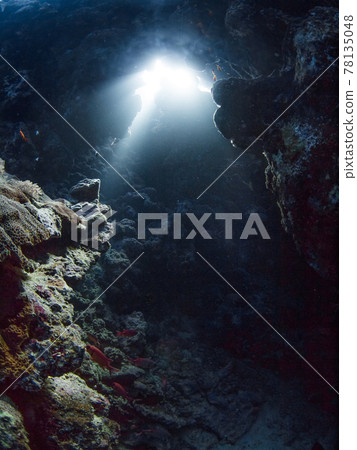 Sunlight shining on underwater caves (Rasmohammed National Park, Sharm El Sheikh, Red Sea, Egypt) 78135048