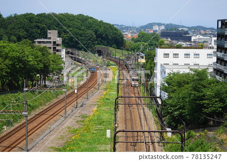 5月多摩308京王相模原線、小田急多摩線/多摩新城 5月多摩308京王相模原線、小田急多摩線/多摩新城 78135247