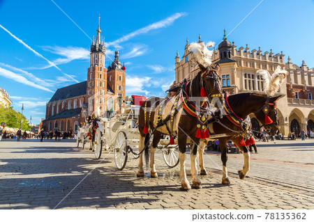 Horse carriages at main square in Krakow Horse carriages at main square in Krakow 78135362