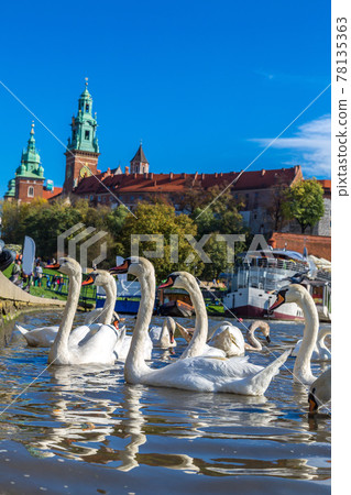 Wawel castle in Krakow Wawel castle in Krakow 78135363