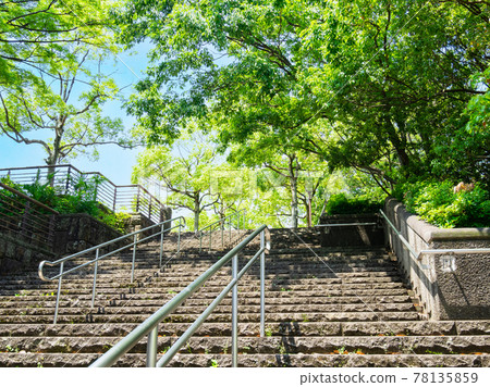 郊區住宅區通往公園的石階和新鮮綠樹 郊區住宅區通往公園的石階和新鮮綠樹 78135859
