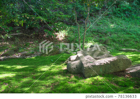 Fragments of old buildings remaining in the forest (Sankeien, Yokohama City, Kanagawa Prefecture) Fragments of old buildings remaining in the forest (Sankeien, Yokohama City, Kanagawa Prefecture) 78136633
