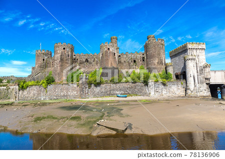 Conwy Castle in Wales 78136906