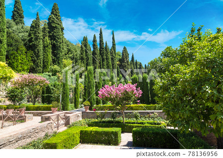 Gardens in Alhambra palace in Granada 78136956