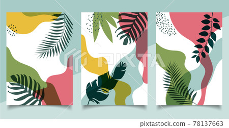 Set of cover brochure template organic shape natural tropical leaves on white background Set of cover brochure template organic shape natural tropical leaves on white background 78137663