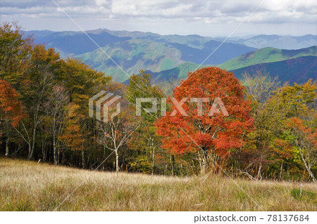 Autumn leaves on the summit of Mt. Obako and the mountains to the north Autumn leaves on the summit of Mt. Obako and the mountains to the north 78137684