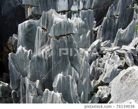 Yunnan Province stone forest Yunnan Province stone forest 78139036