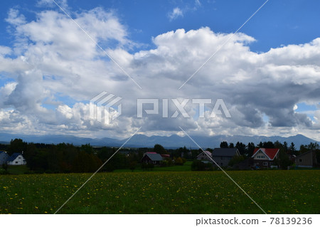 Bibaushi's Flatweed Meadow Bibaushi's Flatweed Meadow 78139236