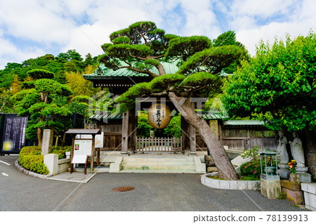 鎌倉/長谷寺三門 78139913