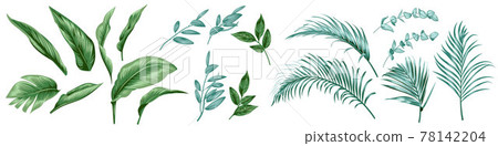 Set of tropical leaves for textile design 78142204