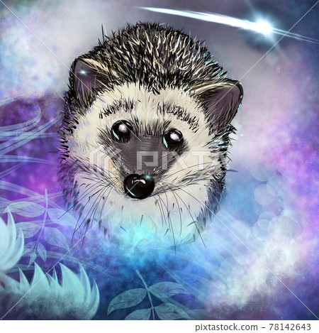 a hedgehog in a magical forest with a comet in the sky. 78142643