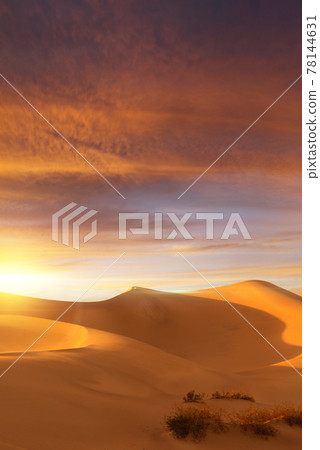 dune sunset dune sunset 78144631