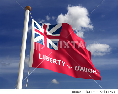 Taunton City Flag Taunton City Flag 78144753