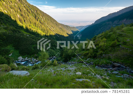 balea stream of fagaras mountains. wonderful summer scenery in the morning. popular travel destination of romania 78145281