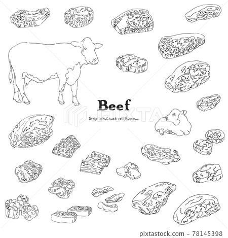 牛肉插畫集手繪線描 牛肉插畫集手繪線描 78145398